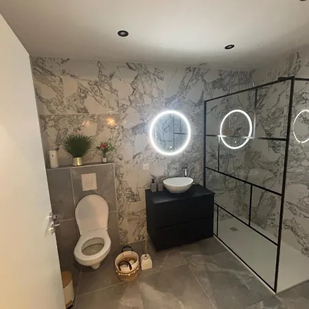 Carpe Diem Apartment Sélestat